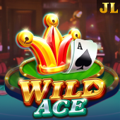 Wild Ace online casino games slot